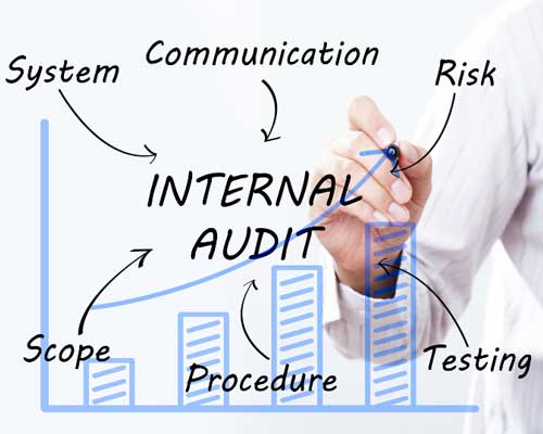 Internal Audit Framework