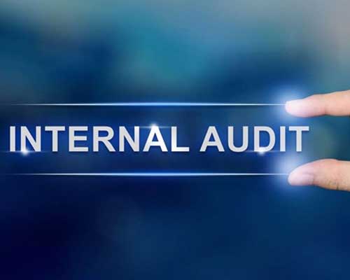 Internal Audit Services