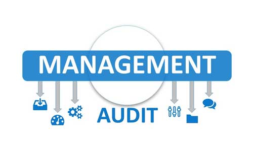Management Audit
