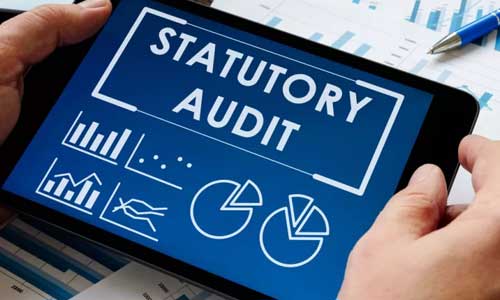 Statutory Audit